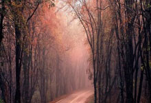 曼城大胜凯旋，领跑积分榜牢不可破字符