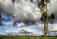 南美豪门马德里竞技赴战德黑兰斯巴达