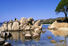 北京国安奋力抗衡，实现关键反击