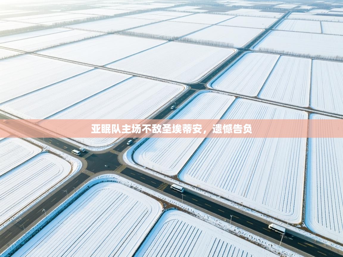 亚眠队主场不敌圣埃蒂安，遗憾告负